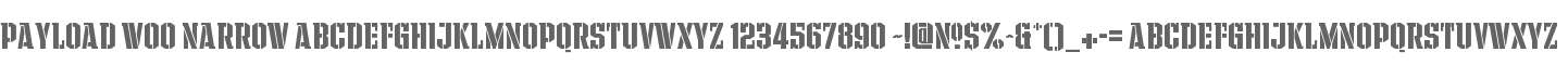 Payload W00 Narrow