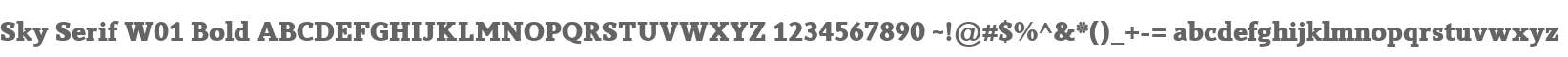 Sky Serif W01 Bold