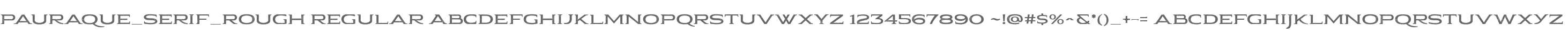 Pauraque_Serif_Rough Regular