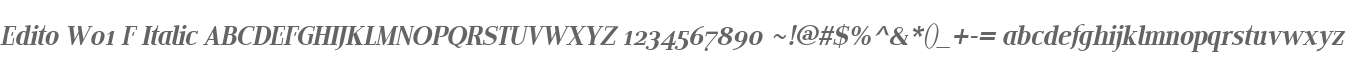 Edito W01 F Italic