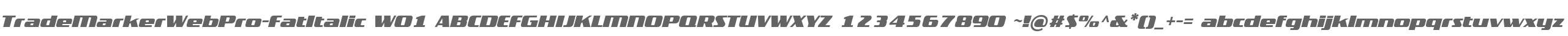 TradeMarkerWebPro-FatItalic W01