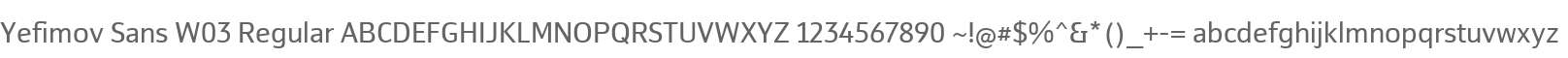 Yefimov Sans W03 Regular