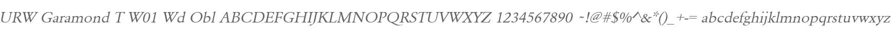 URW Garamond T W01 Wd Obl
