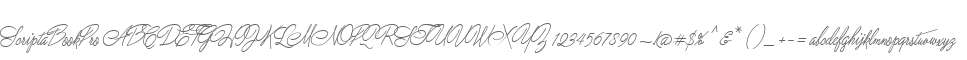 ScriptaBookPro