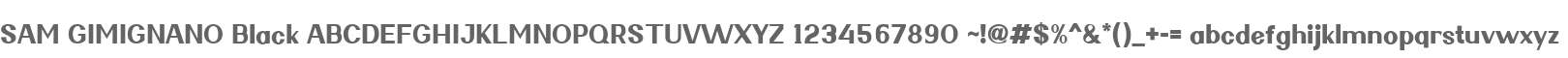 SAM GIMIGNANO Black