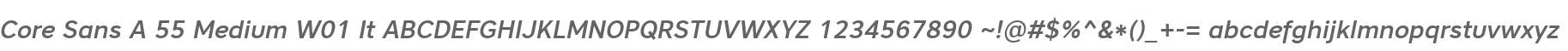Core Sans A 55 Medium W01 It