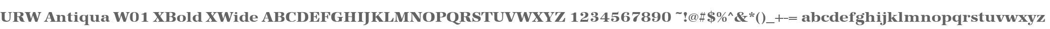 URW Antiqua W01 XBold XWide