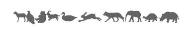 TQF_Animals