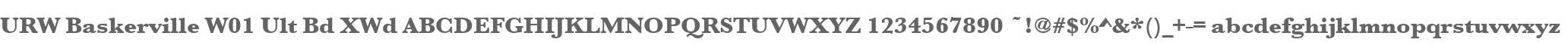 URW Baskerville W01 Ult Bd XWd