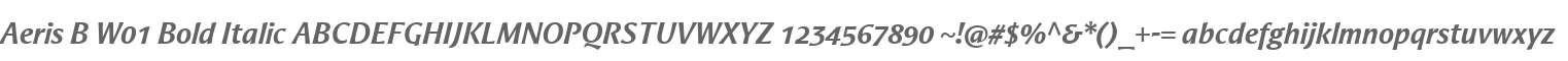Aeris B W01 Bold Italic