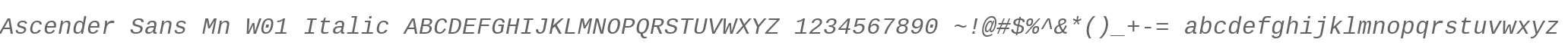 Ascender Sans Mn W01 Italic
