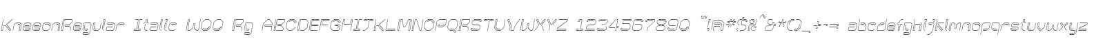 KneeonRegular Italic W00 Rg
