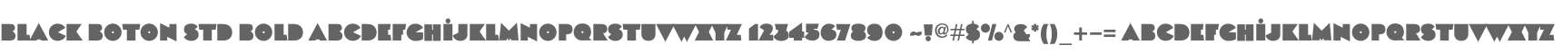Black Boton Std Bold