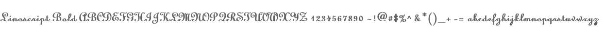 Linoscript Bold
