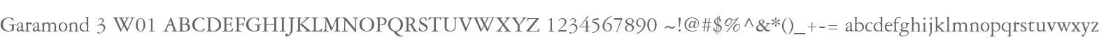 Garamond 3 W01