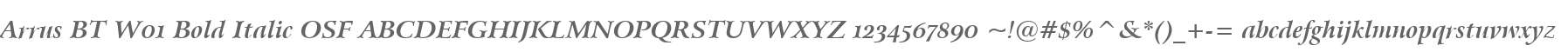 Arrus BT W01 Bold Italic OSF