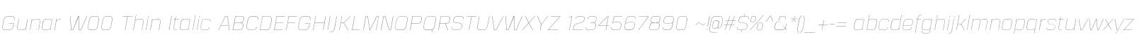 Gunar W00 Thin Italic