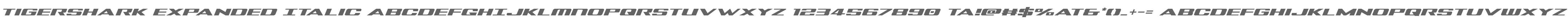 Tigershark Expanded Italic