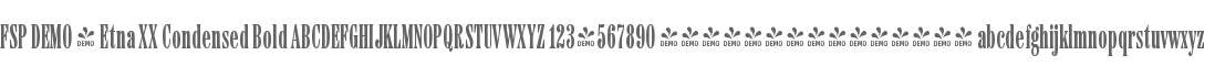 FSP DEMO - Etna XX Condensed