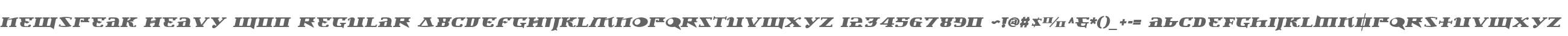 Newspeak Heavy W00 Regular