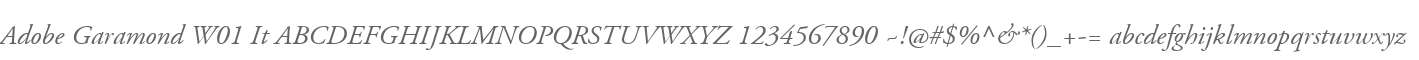 Adobe Garamond W01 It