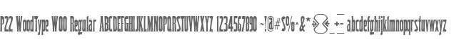 P22 WoodType W00 Regular