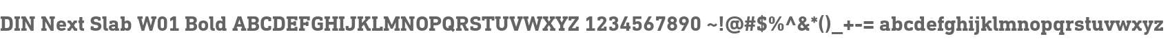 DIN Next Slab W01 Bold