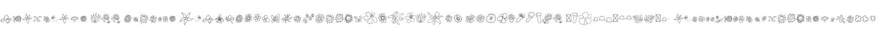 Chankbats W00 Flowers