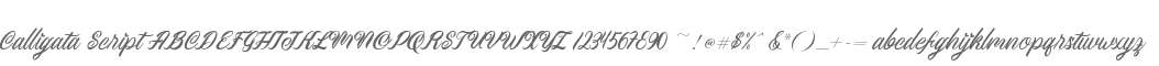 Calligata Script