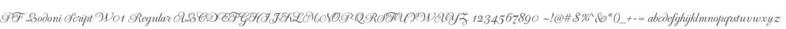 PF Bodoni Script W01 Regular