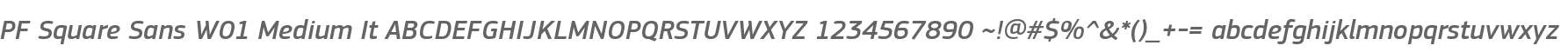 PF Square Sans W01 Medium It