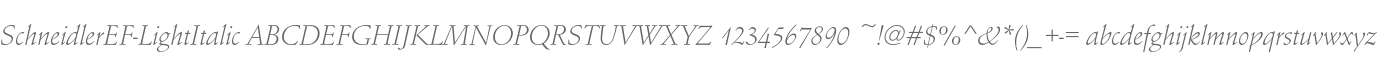 SchneidlerEF-LightItalic