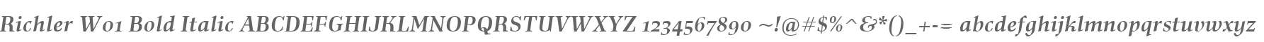 Richler W01 Bold Italic