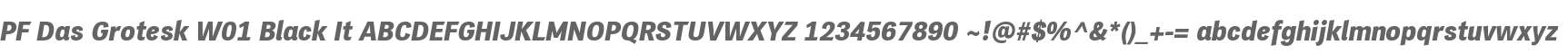 PF Das Grotesk W01 Black It