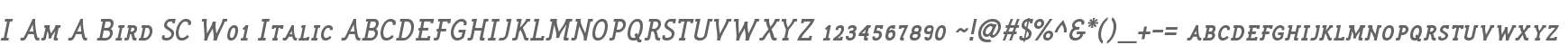 I Am A Bird SC W01 Italic