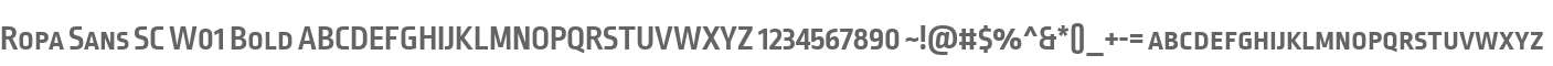 Ropa Sans SC W01 Bold