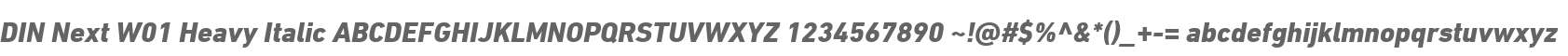 DIN Next W01 Heavy Italic
