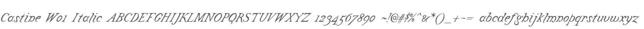 Castine W01 Italic