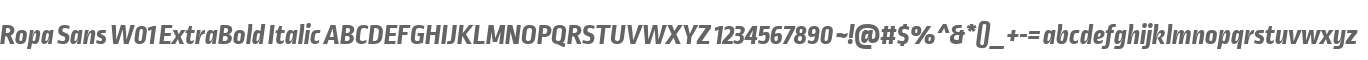 Ropa Sans W01 ExtraBold Italic