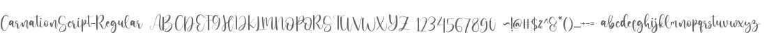 Carnation Script