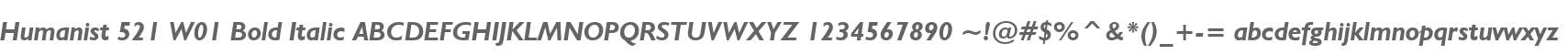 Humanist 521 W01 Bold Italic