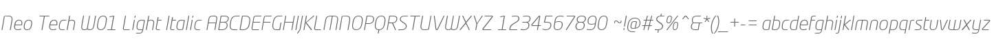 Neo Tech W01 Light Italic