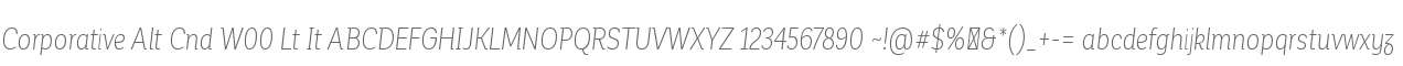 Corporative Alt Cnd W00 Lt It