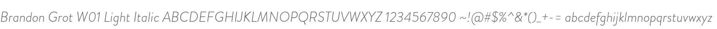 Brandon Grot W01 Light Italic