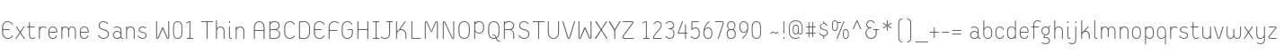 Extreme Sans W01 Thin