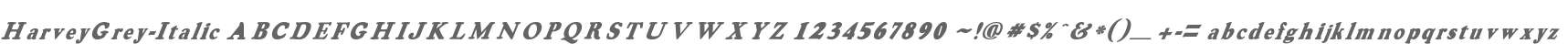 HarveyGrey-Italic