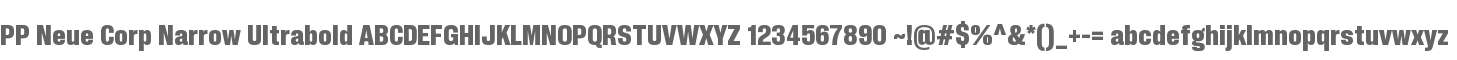 PP Neue Corp Narrow Ultrabold