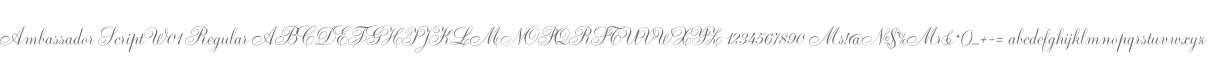 Ambassador Script W01 Regular