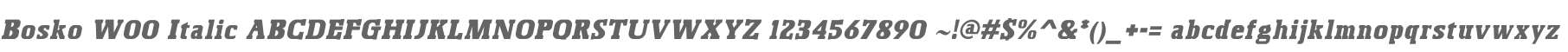 Bosko W00 Italic