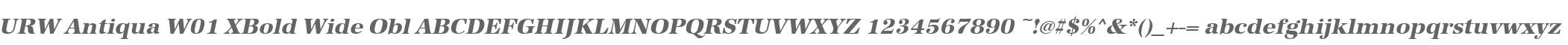URW Antiqua W01 XBold Wide Obl